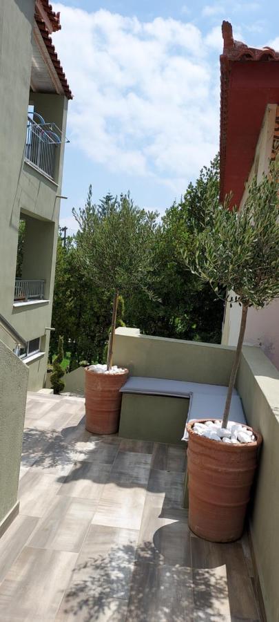 Villa Bloom Achladies  Bagian luar foto