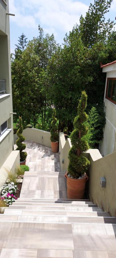 Villa Bloom Achladies  Bagian luar foto